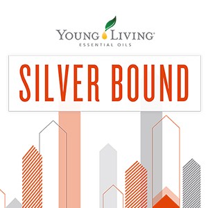 2021年最新 Silver Bound
